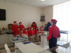 img (8)